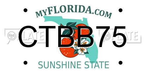 CTBB75 Florida License Plate