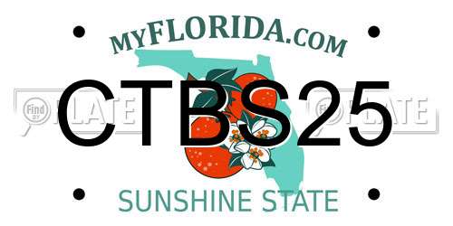 CTBS25 Florida License Plate