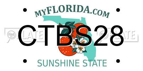 CTBS28 Florida License Plate
