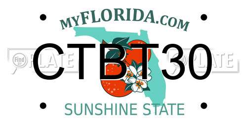 CTBT30 Florida License Plate