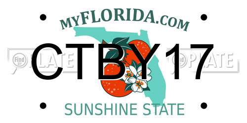CTBY17 Florida License Plate