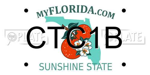 CTC1B Florida License Plate