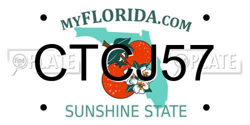 CTCJ57 Florida License Plate