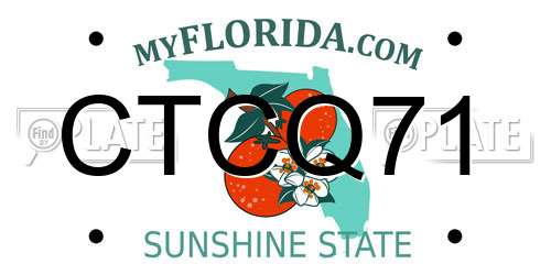 CTCQ71 Florida License Plate