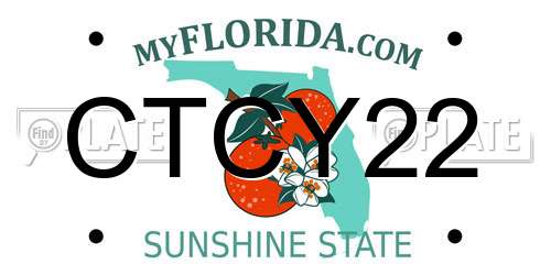 CTCY22 Florida License Plate