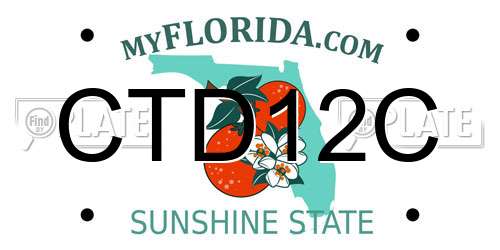 CTD12C Florida License Plate