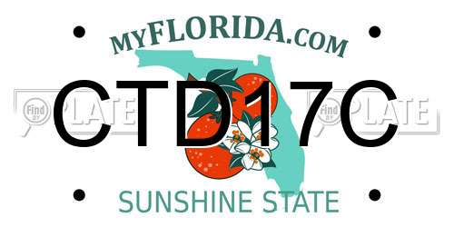CTD17C Florida License Plate