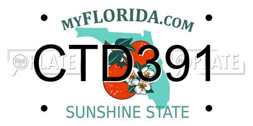CTD391 Florida License Plate
