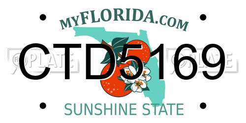 CTD5169 Florida License Plate