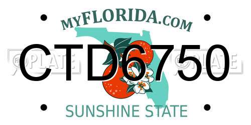 CTD6750 Florida License Plate