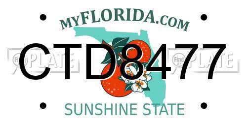 CTD8477 Florida License Plate