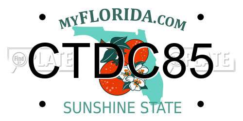 CTDC85 Florida License Plate