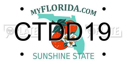 CTDD19 Florida License Plate
