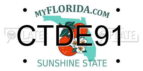 CTDE91 Florida License Plate