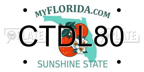 CTDL80 Florida License Plate