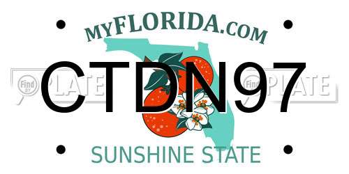 CTDN97 Florida License Plate