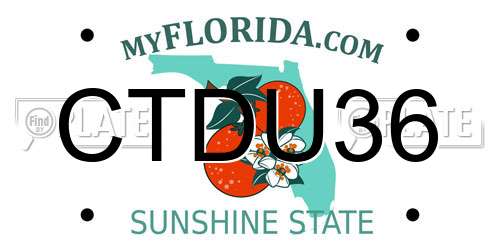 CTDU36 Florida License Plate