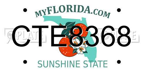 CTE8368 Florida License Plate