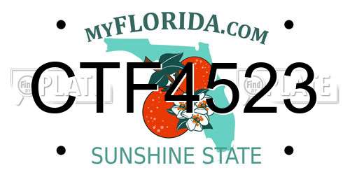 CTF4523 Florida License Plate