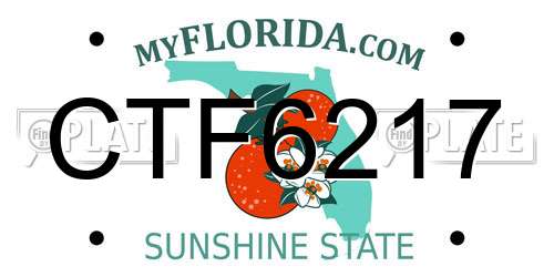 CTF6217 Florida License Plate