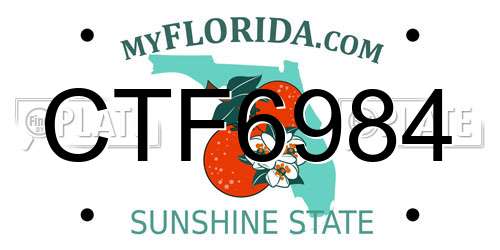 CTF6984 Florida License Plate