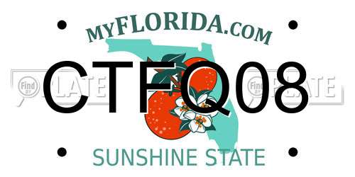 CTFQ08 Florida License Plate