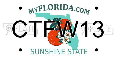 CTFW13 Florida License Plate
