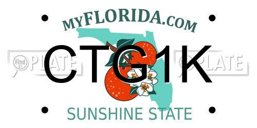 CTG1K Florida License Plate