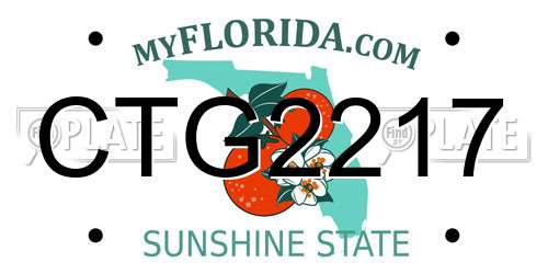 CTG2217 Florida License Plate