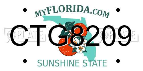CTG8209 Florida License Plate