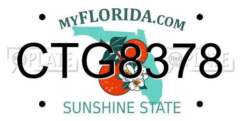 CTG8378 Florida License Plate