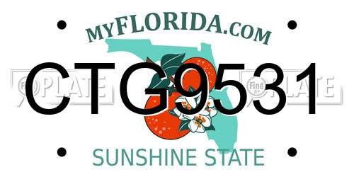 CTG9531 Florida License Plate