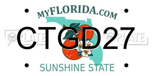 CTGD27 Florida License Plate