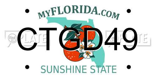 CTGD49 Florida License Plate