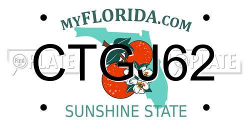 CTGJ62 Florida License Plate