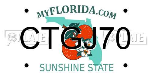 CTGJ70 Florida License Plate
