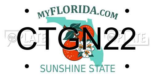 CTGN22 Florida License Plate