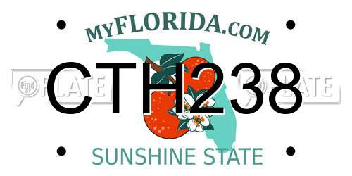 CTH238 Florida License Plate