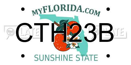 CTH23B Florida License Plate
