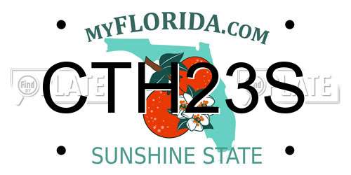 CTH23S Florida License Plate