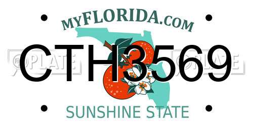 CTH3569 Florida License Plate