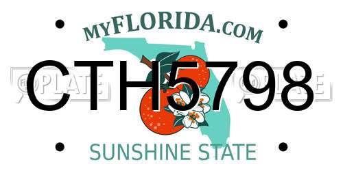 CTH5798 Florida License Plate