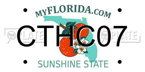 CTHC07 Florida License Plate