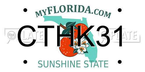CTHK31 Florida License Plate