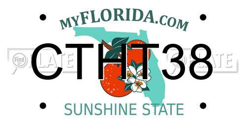 CTHT38 Florida License Plate