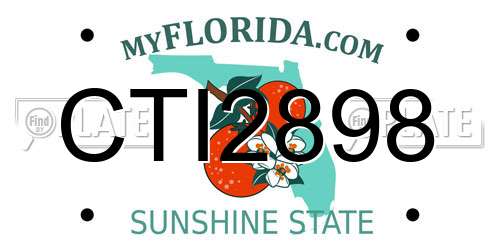 CTI2898 Florida License Plate
