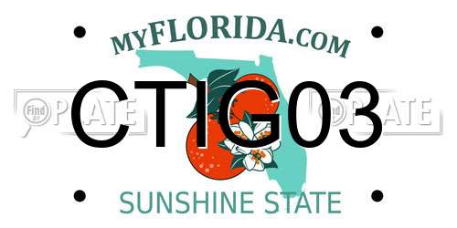 CTIG03 Florida License Plate