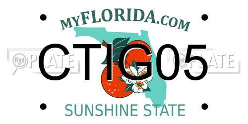 CTIG05 Florida License Plate
