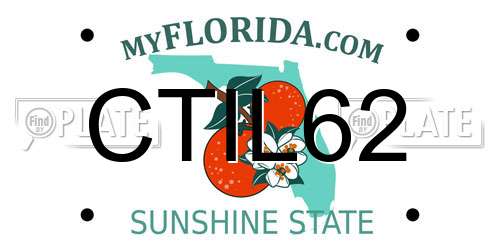 CTIL62 Florida License Plate