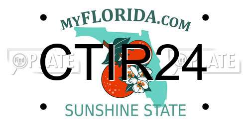 CTIR24 Florida License Plate